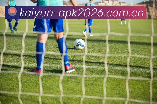 数据分析功能